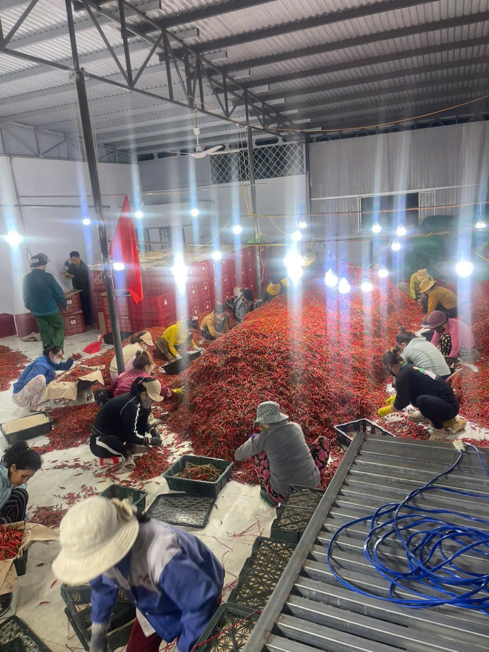 z7917304995705_f364e52859eab0b3d1e4e4dd9ba374e6