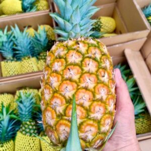 Pineapple Export