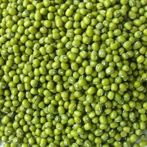 Mung Bean