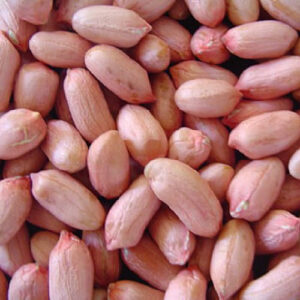 PEANUTS