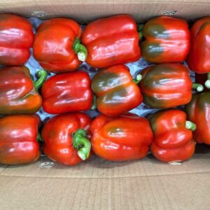 [Delivery only in Ho Chi Minh City] Red bell peppers